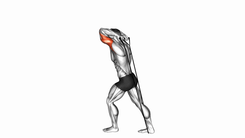 Band Overhead Triceps Extension
